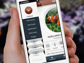 智能化菜谱app定制开发,专为吃货与商家而生