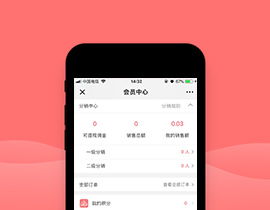 专业app定制开发